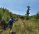 %_tempFileName08_02_Arnsberger%20Wald24%