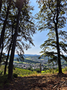 %_tempFileName08_02_Arnsberger%20Wald33%