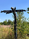 %_tempFileName08_02_Arnsberger%20Wald38%