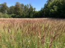 %_tempFileName08_02_Arnsberger%20Wald39%