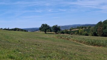 08-12-Sauberg_01