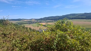 08-12-Sauberg_05