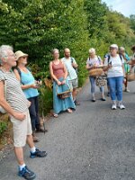 08-15-Kräuterwanderung_02