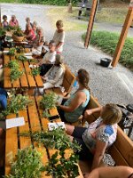 08-15-Kräuterwanderung_04