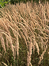 %_tempFileName08-16-Stemel_16%