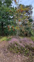08-23-Visbeck_15