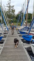 08-26-Sorpesee_15