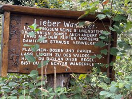 08-26-Sorpesee_23