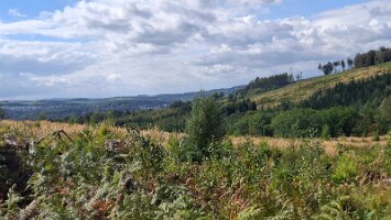 Höhweg Balve_03