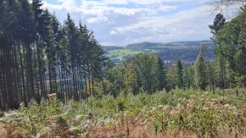 Höhweg Balve_07